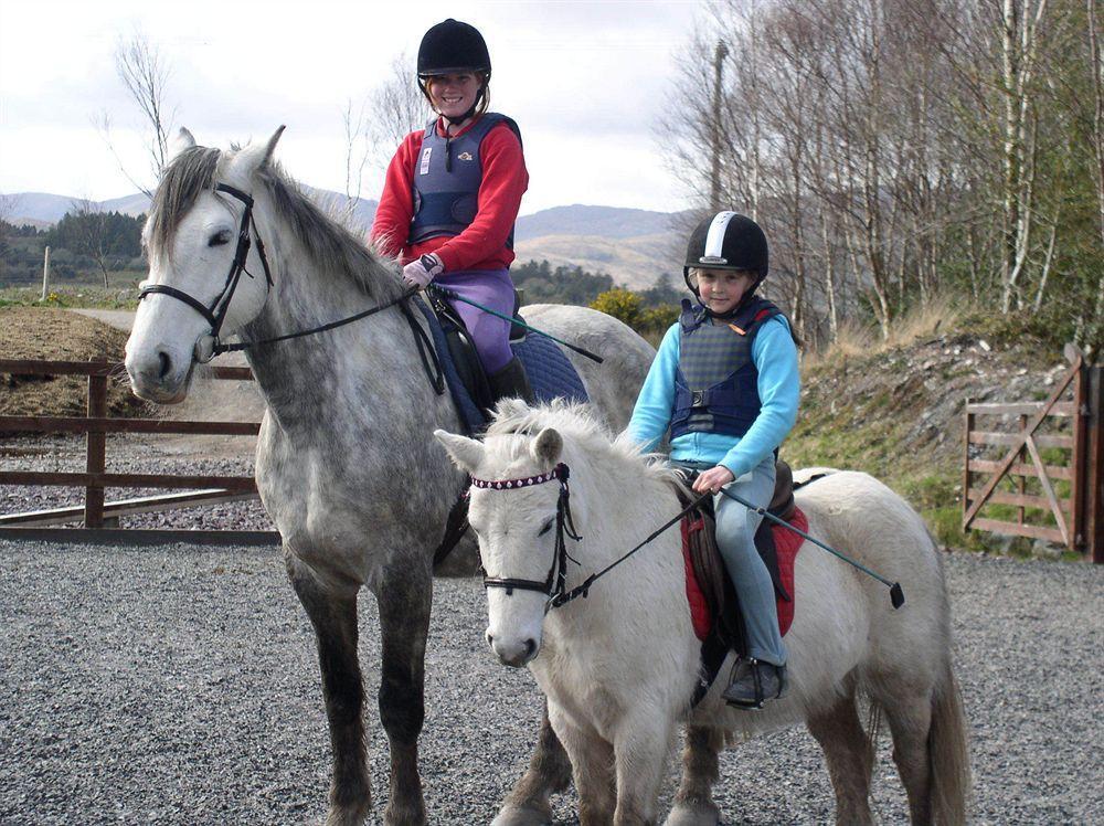 Eclipse Holiday Homes & Adventure Centre Kenmare Esterno foto