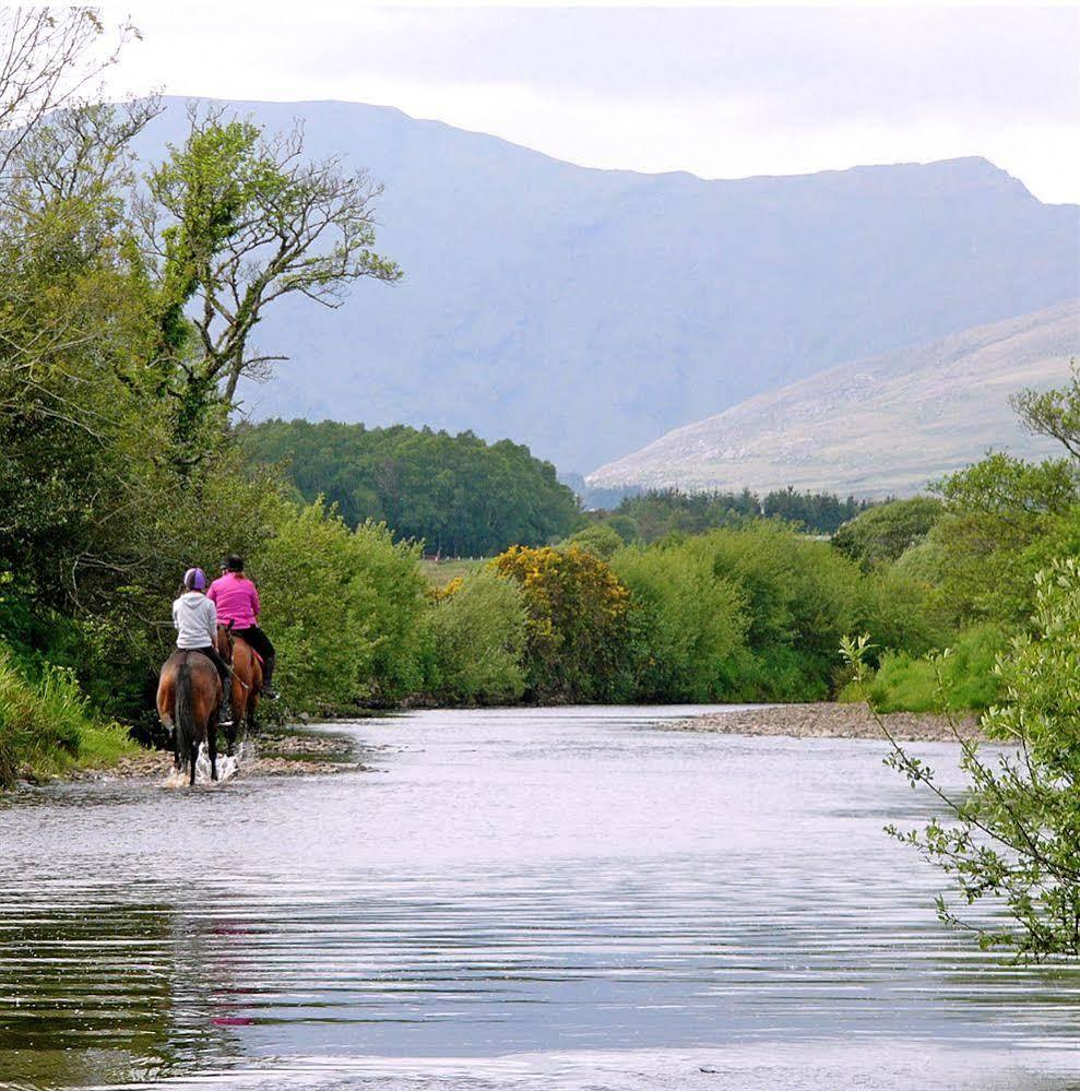 Eclipse Holiday Homes & Adventure Centre Kenmare Esterno foto